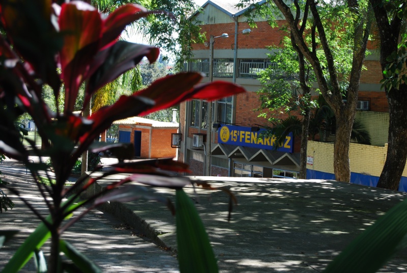 Arquivo:Foto2.JPG