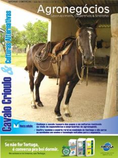 Agronegócios: Desenvolvimento, Cooperativas & Sindicatos - Cavalo Crioulo & Culturas Alternativas 27 de junho de 2008