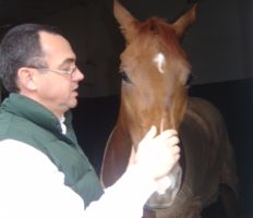 Para Flávio De La Côrte, o cavalo Crioulo como agronegócio é uma novidade que está em franca expansão. Créditos: Arquivo Pessoal