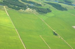 Seguir o “passo a passo” é um indicativo de que as cultivares poderão exteriorizar todo seu potencial”. Créditos: Arquivo pessoal