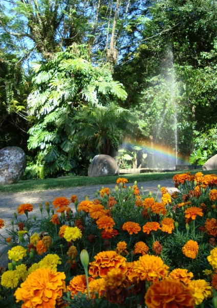 Arquivo:Paginaonze11Arco iris.jpg