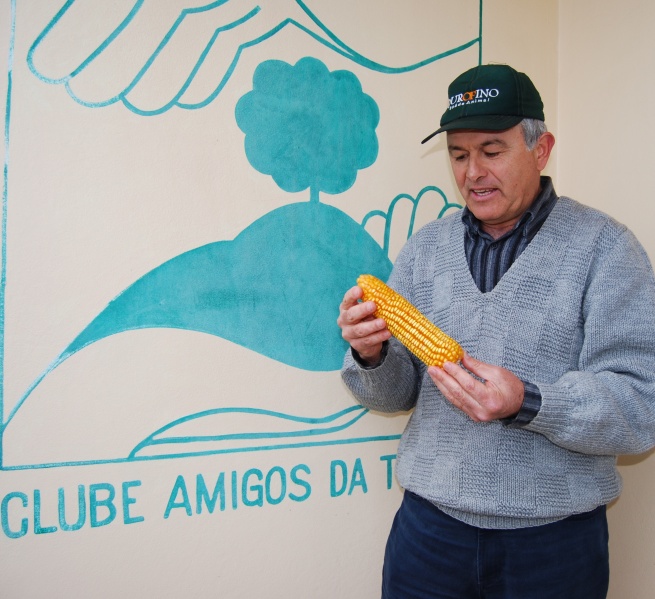 Arquivo:Foto transgenia2almir.JPG