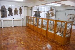 Essa é apenas uma das nove salas estão disponíveis para visitação. Créditos: Andrewes Pozeczek Koltermann