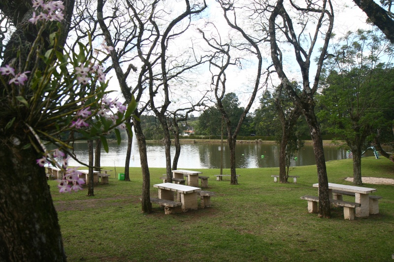 Arquivo:Foto411Bancos lago flor.jpg