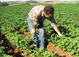 Na foto, Fioreze em trabalho de inspeção. Créditos: Arquivo Emater
