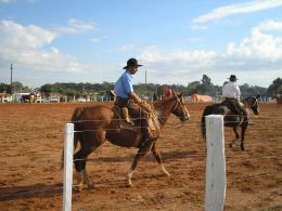 Como não poderia deixar de ser, a feira mantém diversos atrativos focados no cavalo da raça crioula, outro ponto que garante apreciadores fiéis ao evento. Créditos: Cleber Jardim.