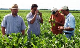 A agricultura de precisão é uma forma de analisar para errar menos na produção Créditos: Arquivo pessoal