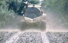 Atualmente, o Brasil importa mais de 70% do total de fertilizantes usado nas lavouras. Créditos: Divulgação