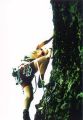 Miniatura da versão das 14h57min de 25 de junho de 2010