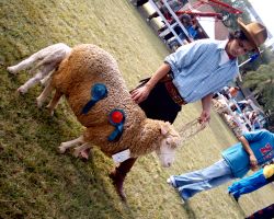 Hoje, os animais fazem um show à parte no evento, evidenciando a força no segmento da região. Créditos: Cleber Jardim