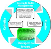 Intensa Comunicação de Relacionamento Legenda: A tecnologia Vision permite localização das machas menos produtivas, mesmo não visíveis a olho nu, e facilita a identificação de outros fatores limitantes da produtividade, como compactação do solo.
