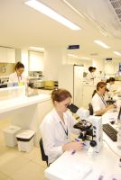 Nova área de produção – agilidade e rapidez na entrega dos resultados Créditos: Andrewes Pozeczek Koltermann