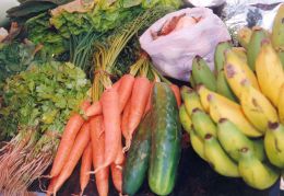 A demanda mundial por alimentos é um dos fatores que impulsionará o setor. Créditos: Divulgação
