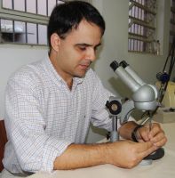 Rosa acredita que o potencial ainda seja enorme, já que a nossa vizinha, a Quarta Colônia, tem apresentado intrigantes fósseis novos. Créditos: Andrewes Pozeczek Koltermann