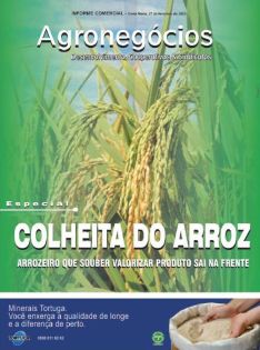 Agronegócios: Desenvolvimento, Cooperativas & Sindicatos - Especial: Colheita do Arroz 27 de fevereiro de 2009