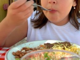 É importante que a dieta contenha carboidratos, proteínas, gorduras, vitaminas e minerais nas proporções corretas. Créditos: Divulgação