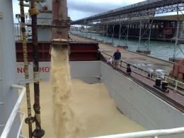 A Risoy é uma corretora de mercadorias, que presta serviços de intermediação de compra/venda de commodities agrícolas, entre produtores e indústrias, entre estas e importadores de vários continentes, assessorando-os no fechamento de negócios. Créditos: Arquivo Risoy
