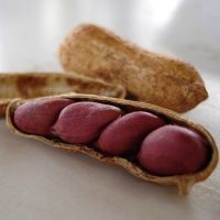 O amendoim atua no aumento da libido por estimular a circulação sanguínea. Créditos: Divulgação