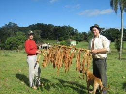 A pecuária é uma das principais atividades na cidade e a família de Jucelino Facco é apenas uma entre as mais de mil com o foco na agricultura familiar. Créditos: Arquivo Prefeitura Municipal