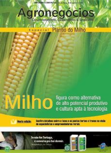 Agronegócios: Desenvolvimento, Cooperativas & Sindicatos - Especial: Plantio de Milho 29 de agosto de 2008