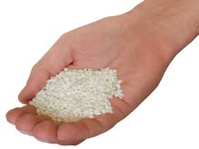 Para 2009, seis outras novas sementes aguardam aprovação – entre elas a semente geneticamente modificada do arroz. Créditos: Divulgação