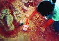 Miniatura da versão das 15h53min de 27 de janeiro de 2011