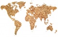 Miniatura da versão das 14h18min de 23 de novembro de 2010