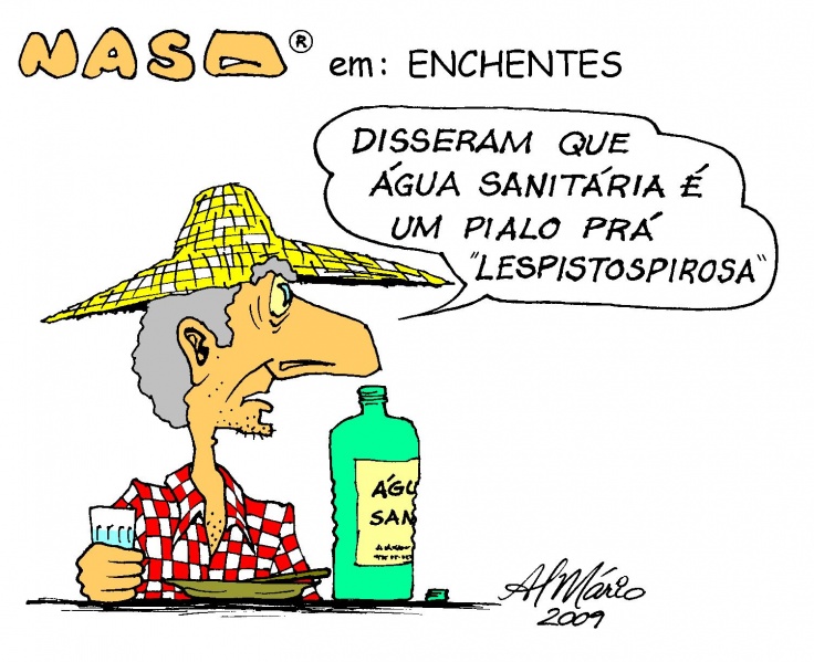 Arquivo:Fotoduaspagina3NasoEnchentes cor.JPG